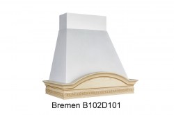 Bremen B102D101